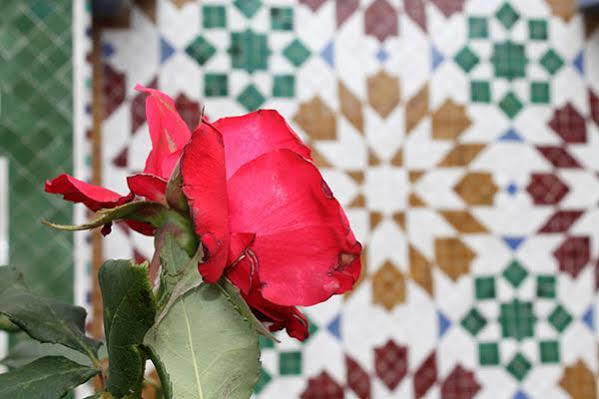 طنجة Malabata Guest House المظهر الخارجي الصورة